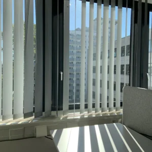 Window Blinds
